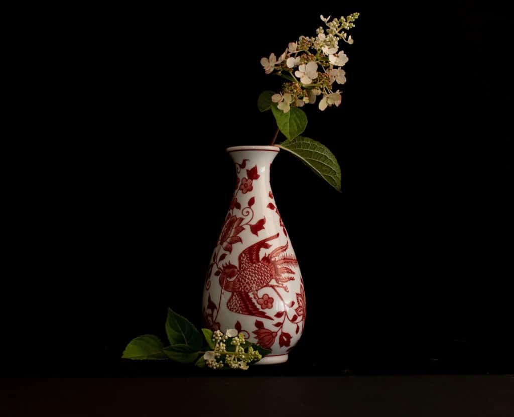 white and red floral vase with white flowers